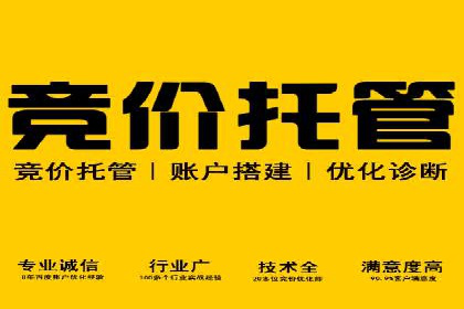 竞价排名案例：优化广告预算分配